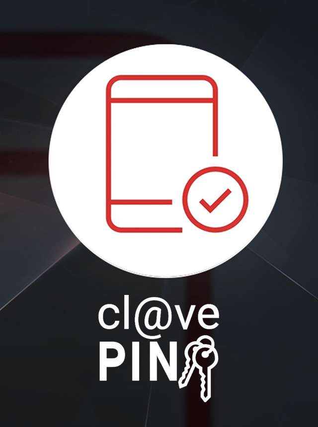 Cl@ve PIN