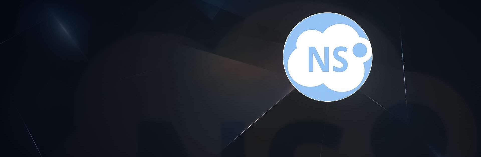 NetSchool