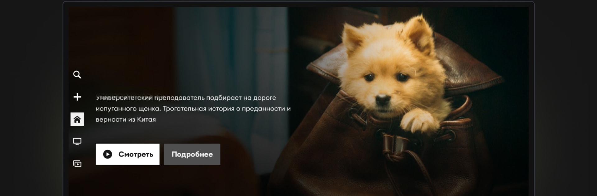 24ТВ — тв, кино и сериалы в HD