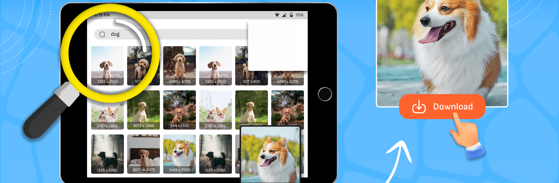 Image Search