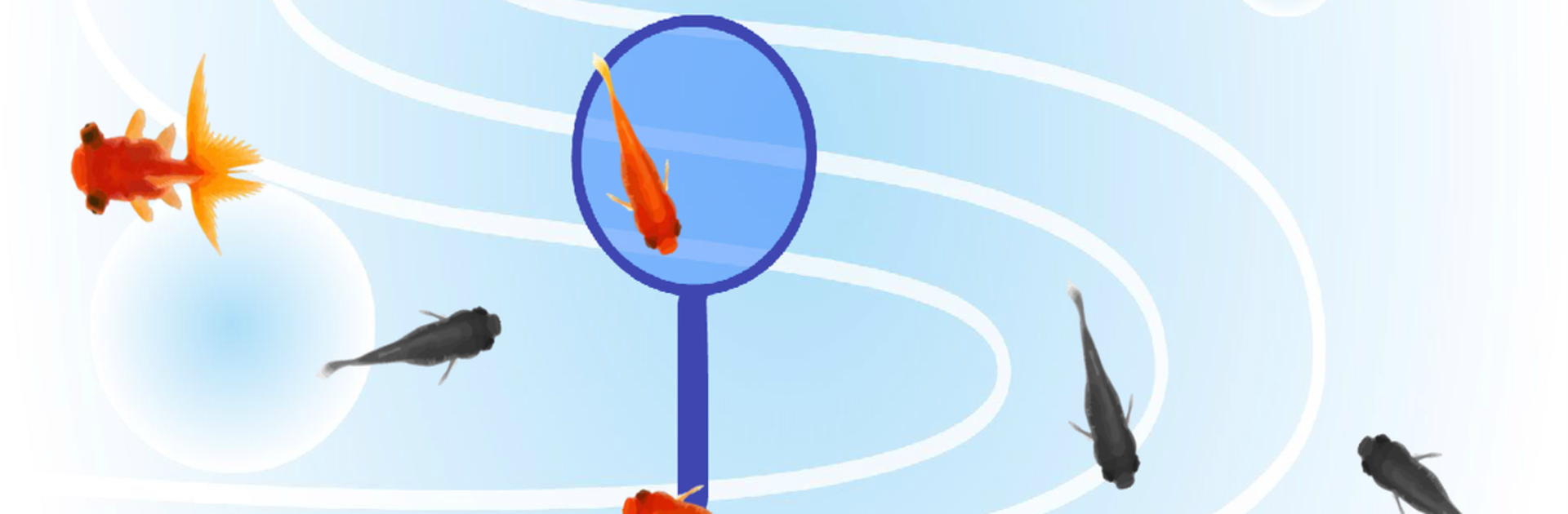 Scooping Goldfish (Festival)