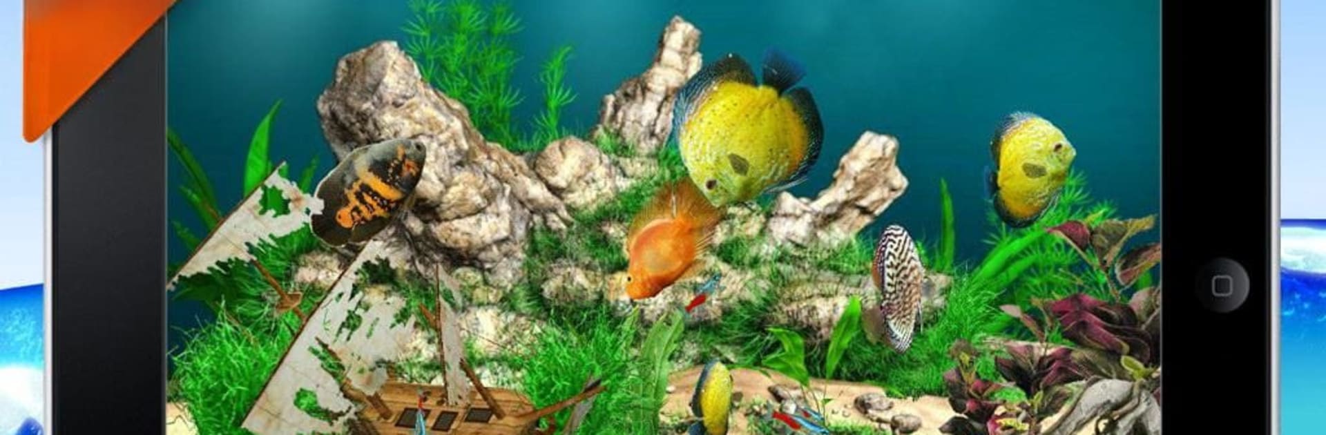 AquaLife 3D