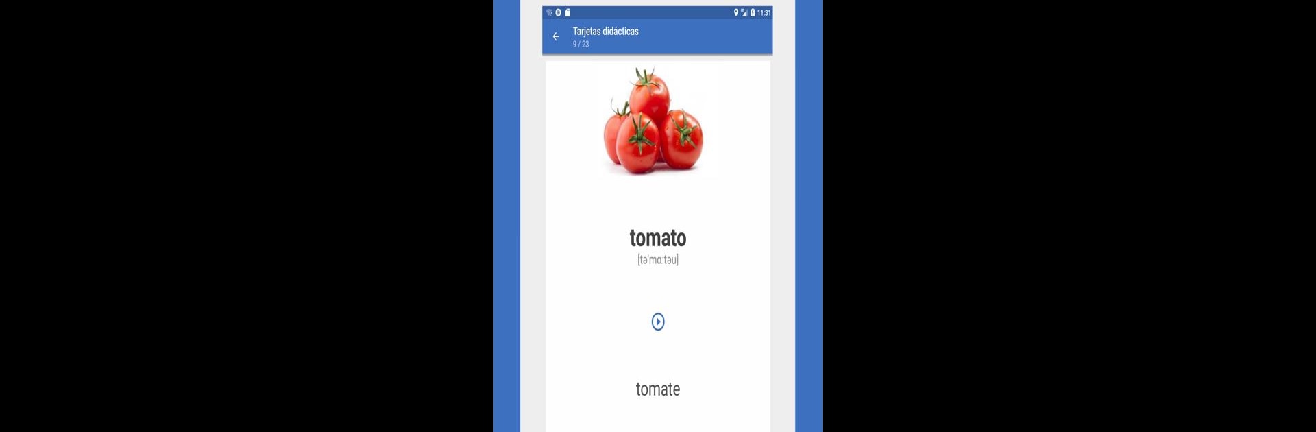 Words - Learn Languages