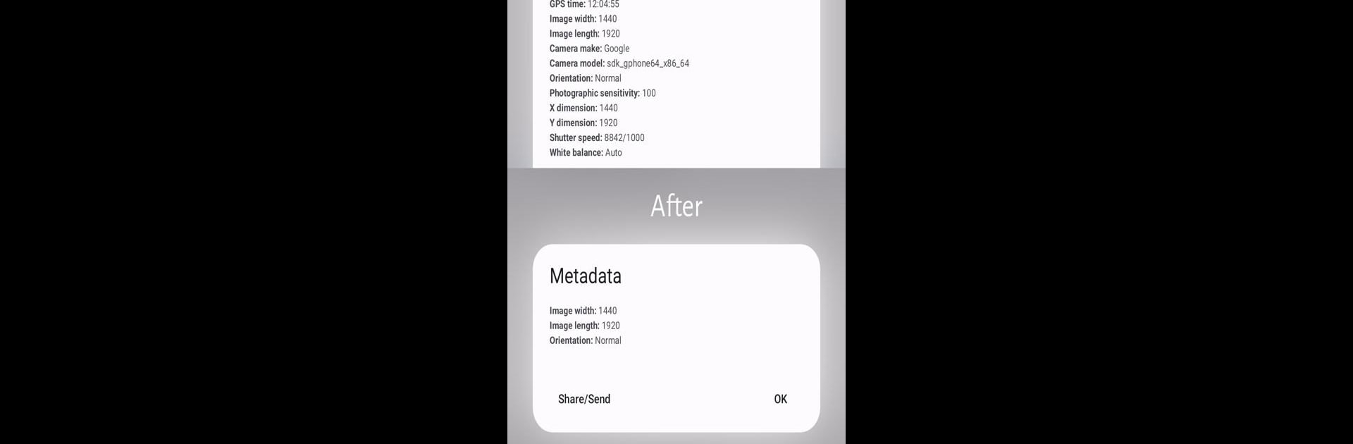 Photo Metadata Remover