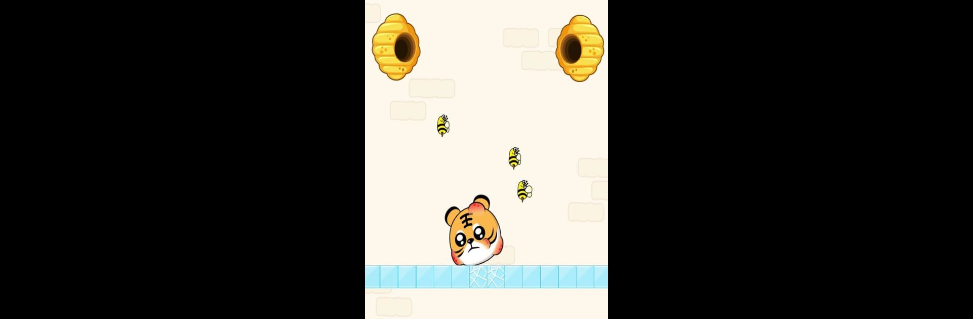 Protect My Pet