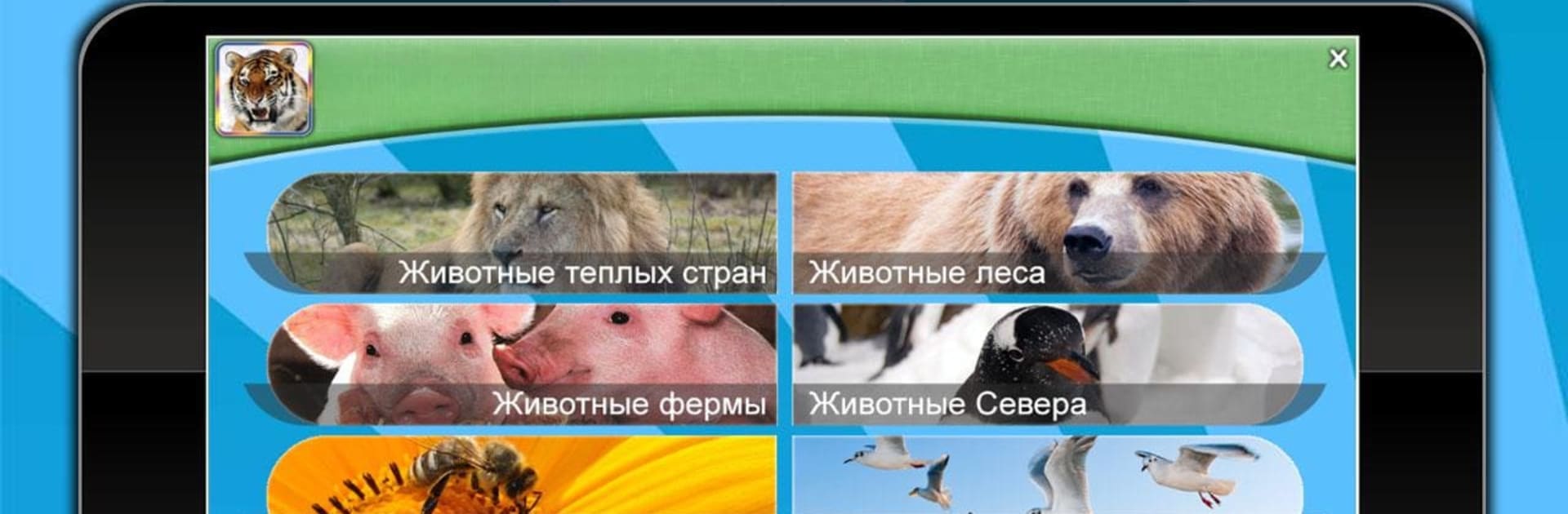 Животные для детей. Звуки животных.