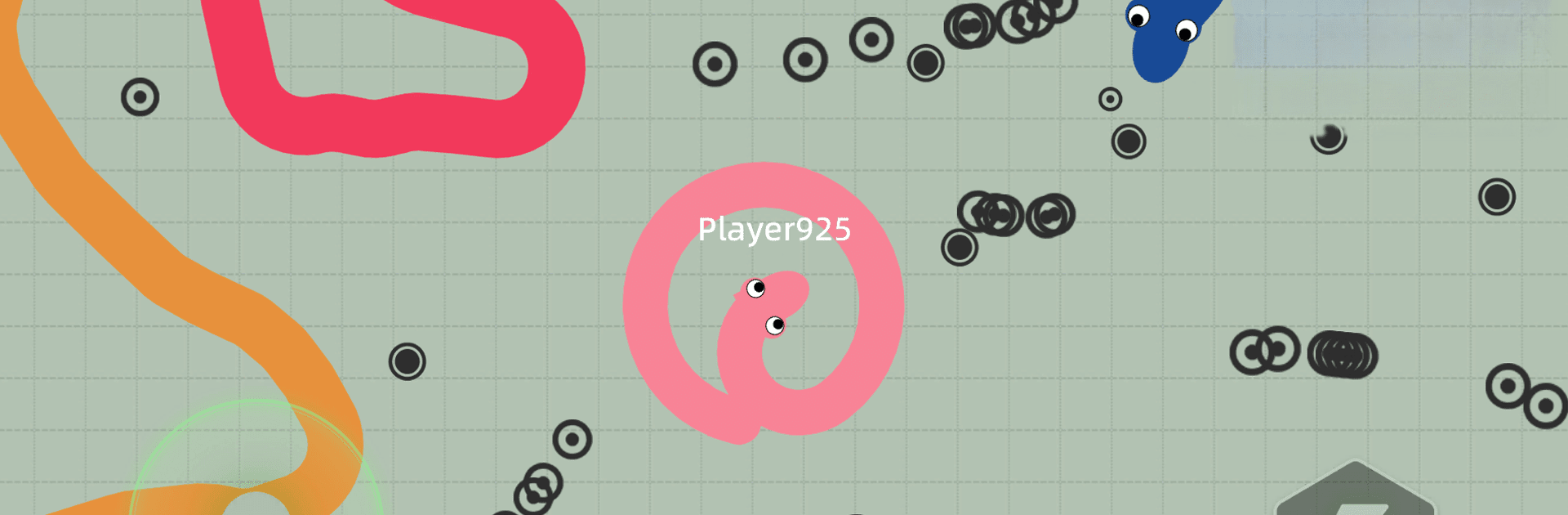 Critter Crawl IO