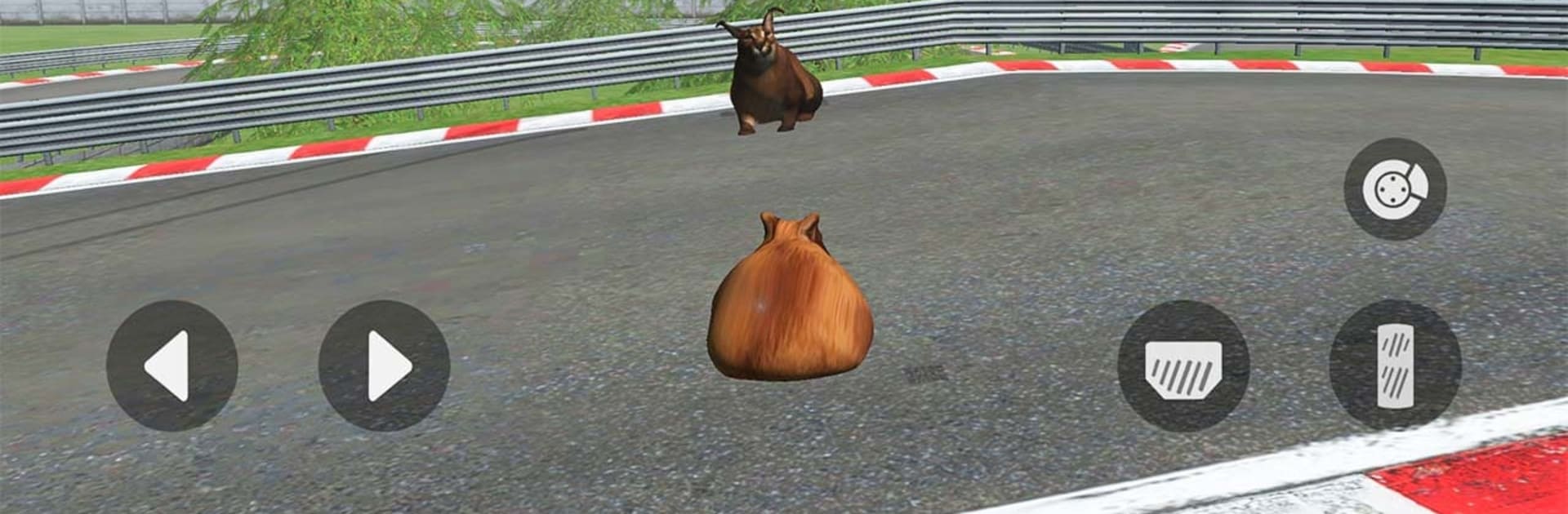 Pablo Cat Race Game