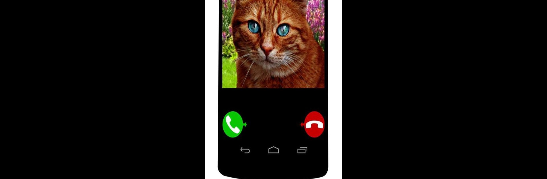fake call cat game