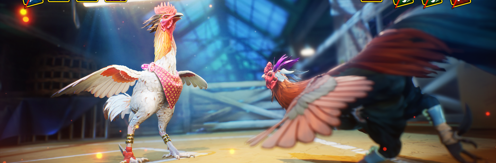 Rooster Fights