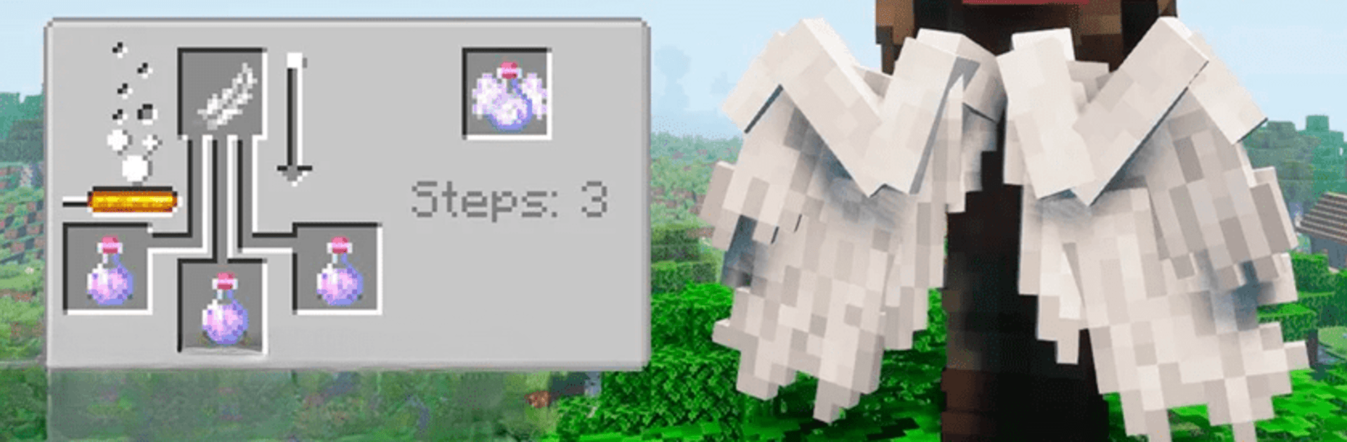 Complementos de asas Minecraft