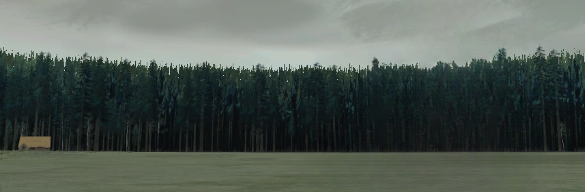 Pine: A Story of Loss