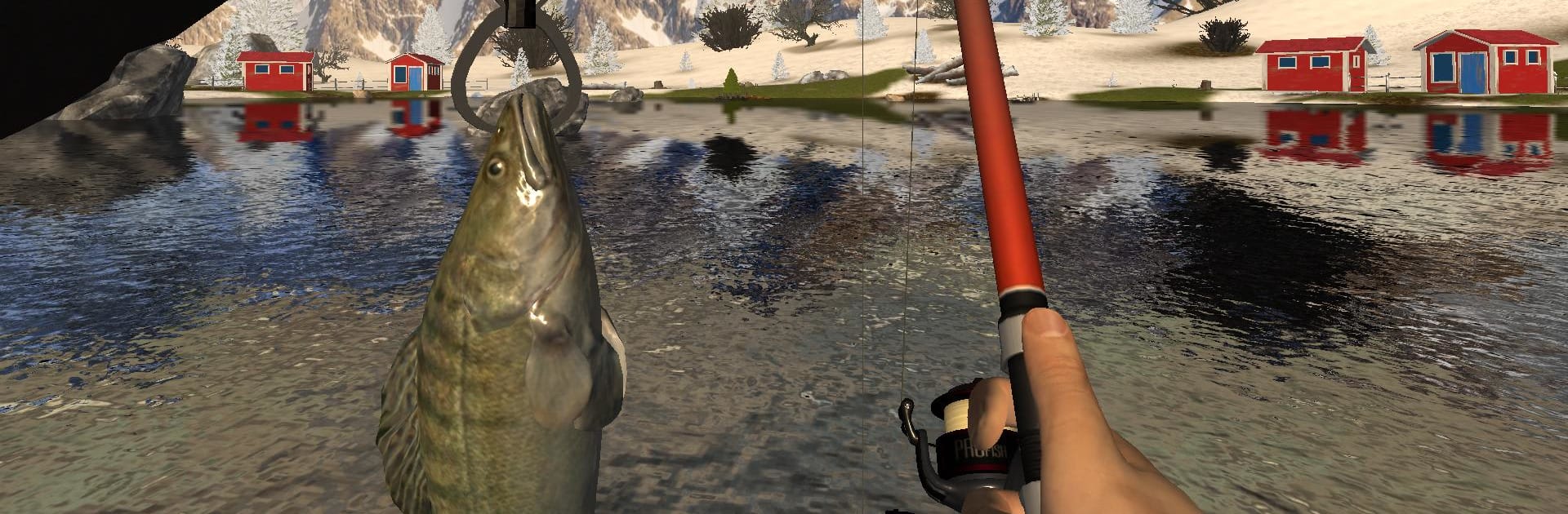 Professional Fishing