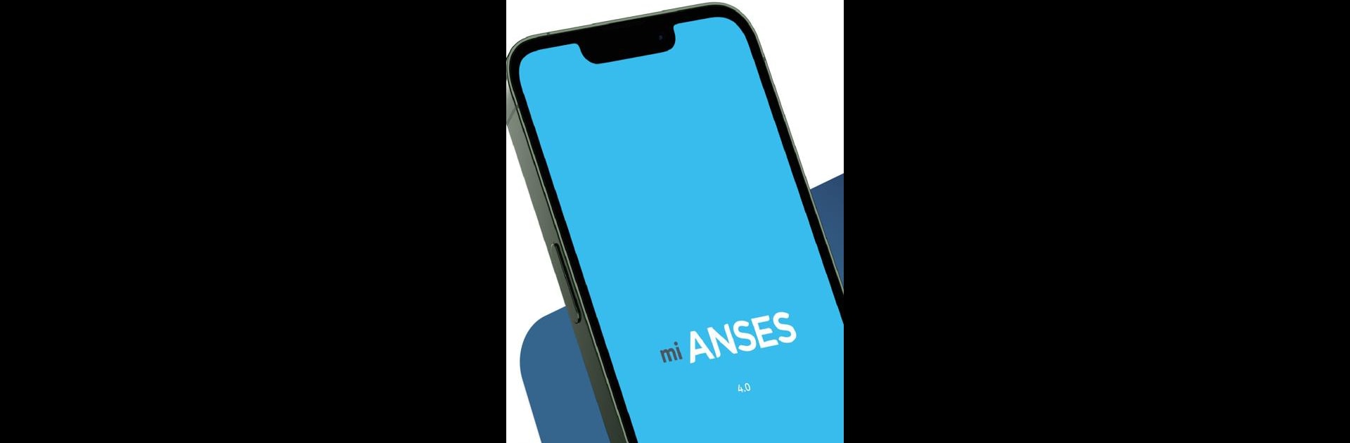 mi ANSES