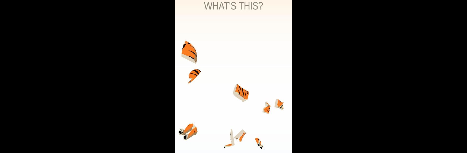 What Is This?