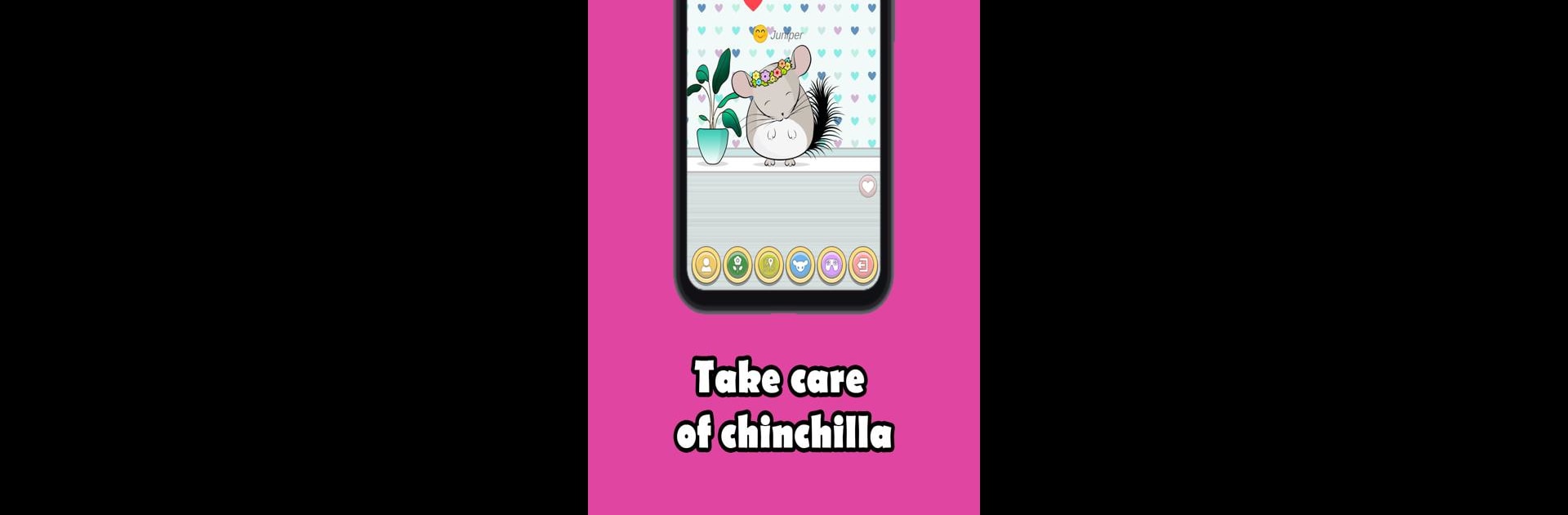 My Chinchilla