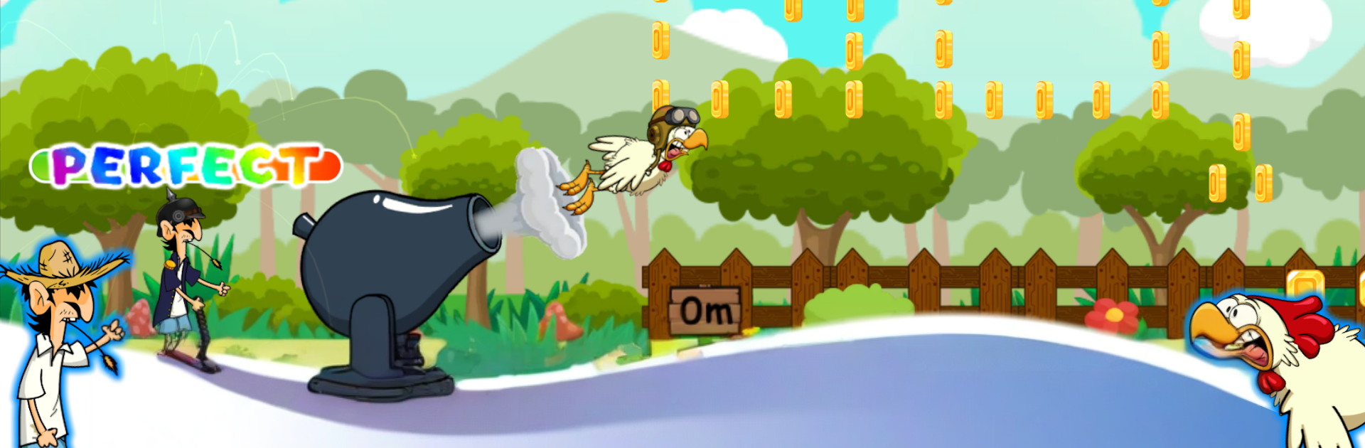 Chicken Cannon