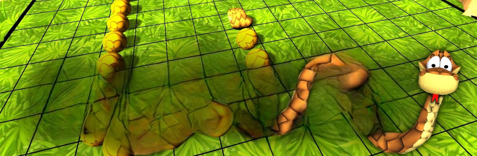 Snake 3D