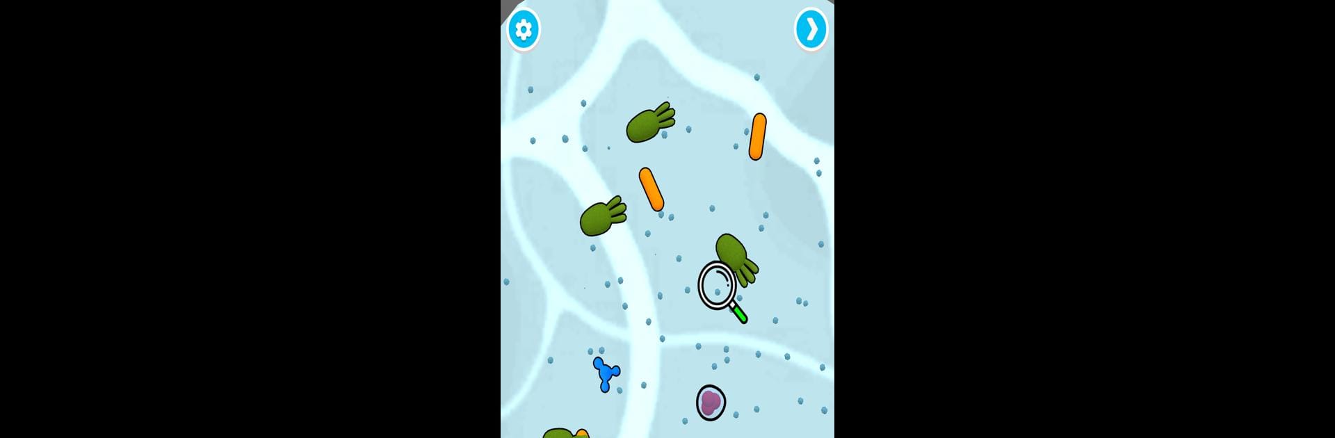 Bacteria