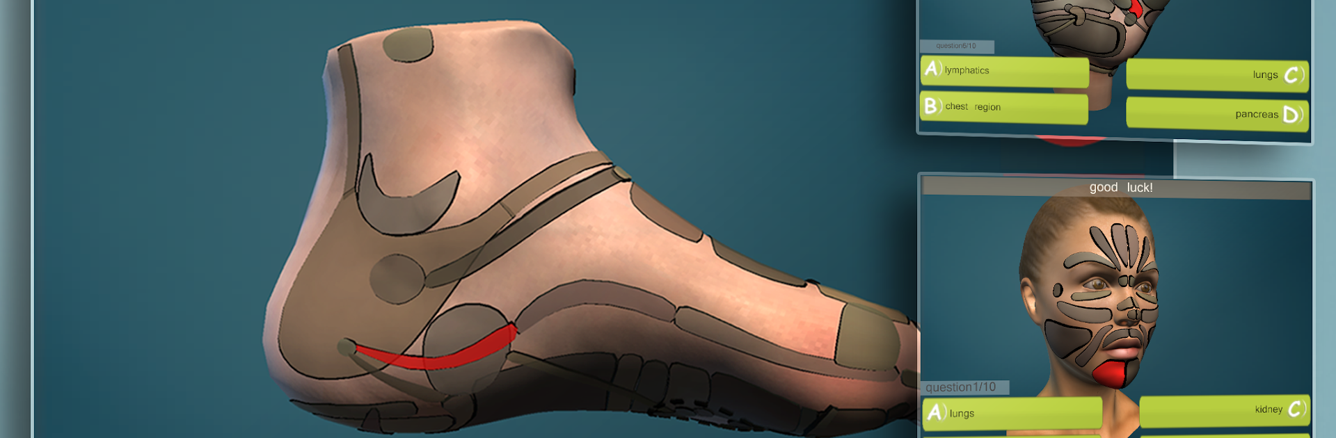 Total Reflexology 3D