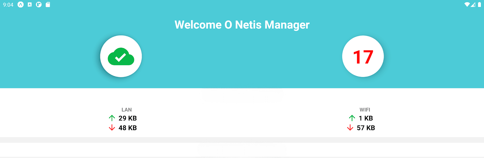 Netis Router Manager v4
