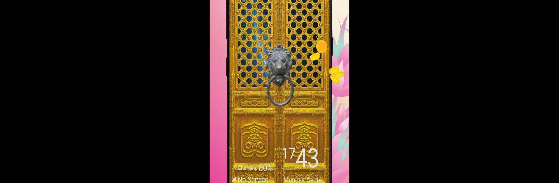 Laxmi Door Screen Lock Opener