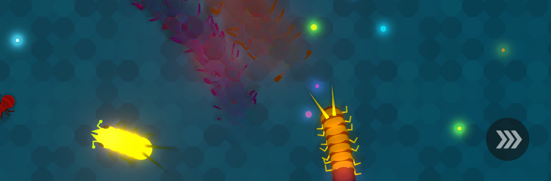 Centipede