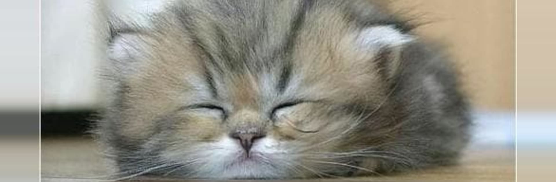 Gute Nacht Bilder für Whatsapp