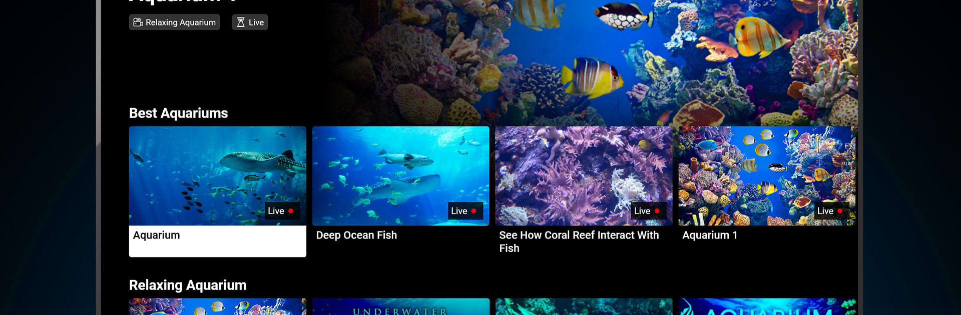 Aquariums TV