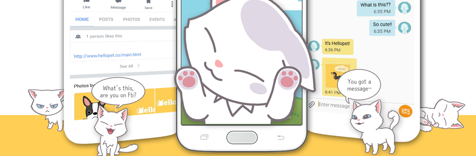 Hellopet - Cute cats, dogs and other unique pets
