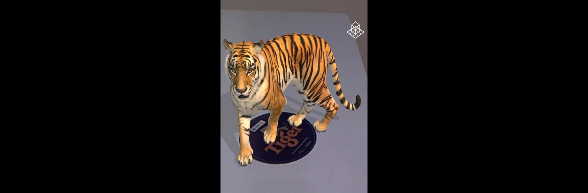 ARLOOPA - Augmented Reality Platform - AR App