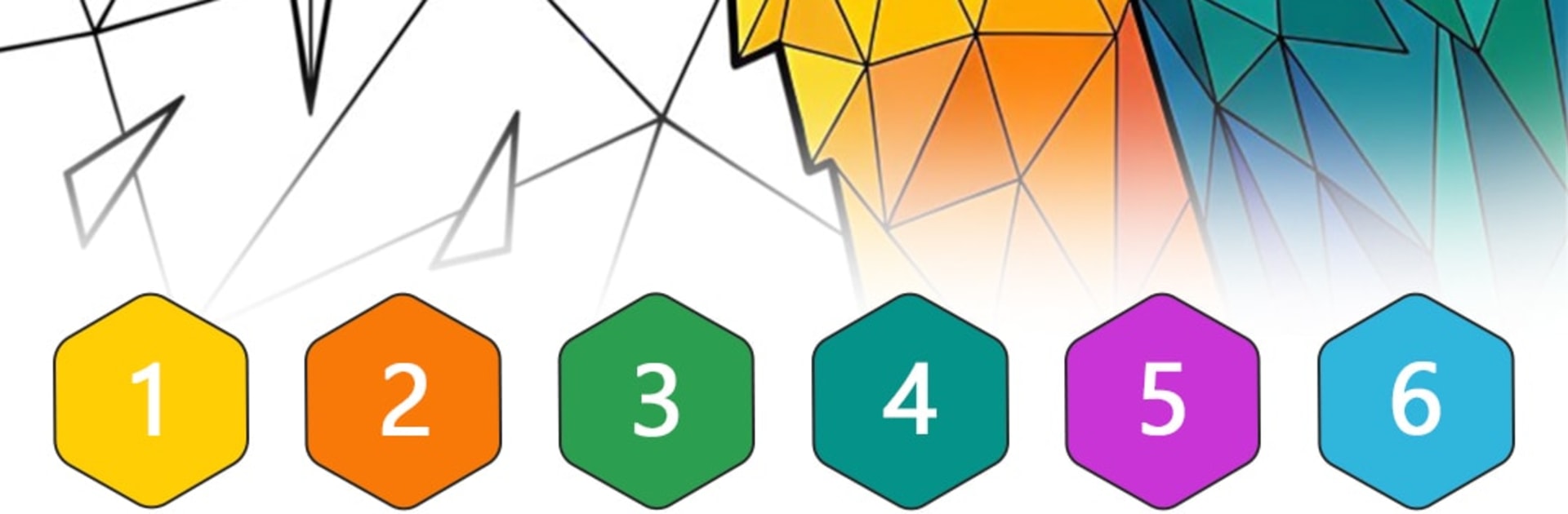 Polygon Color