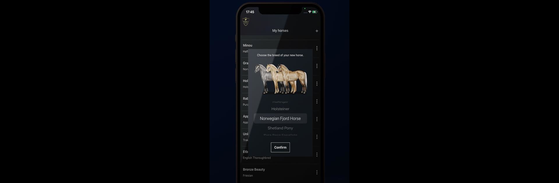 NOBLE HORSE DESIGNER