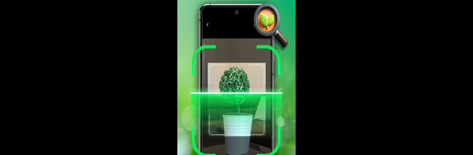 Plant Identifier - Plant Care