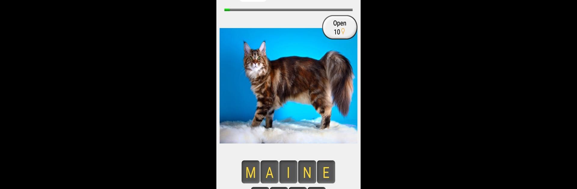 Cats Quiz - Guess Photos of All Popular Cat Breeds