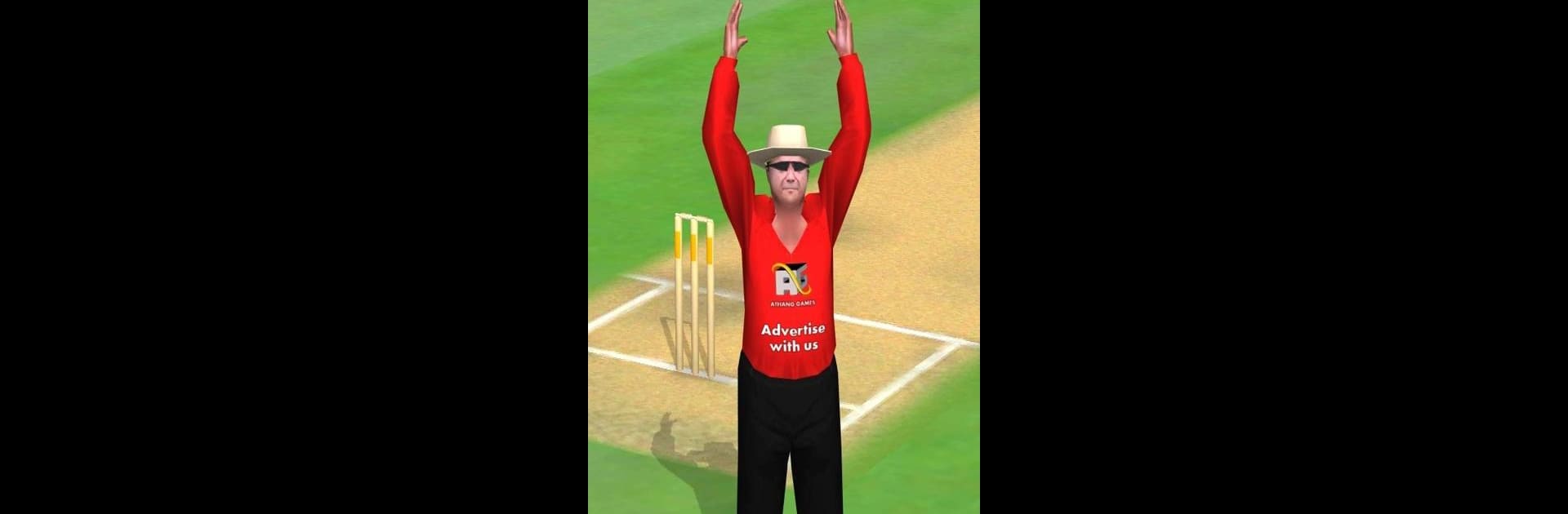 Smashing Cricket - a cricket game like none other