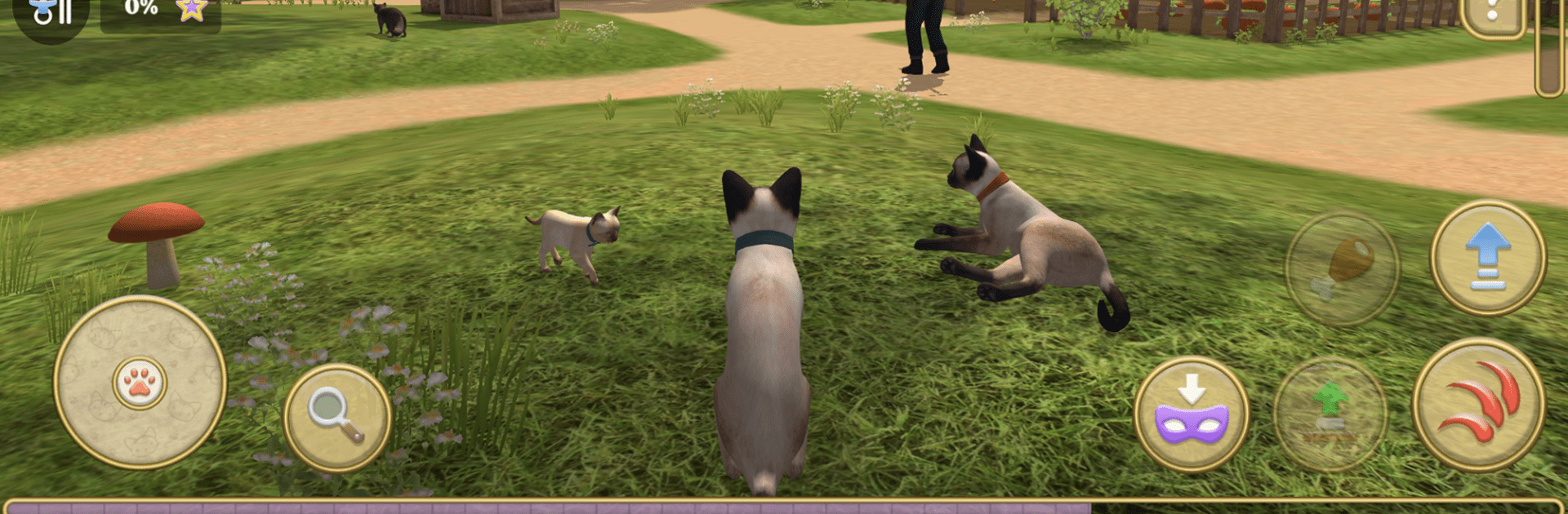 Cat Simulator : Kitties Family