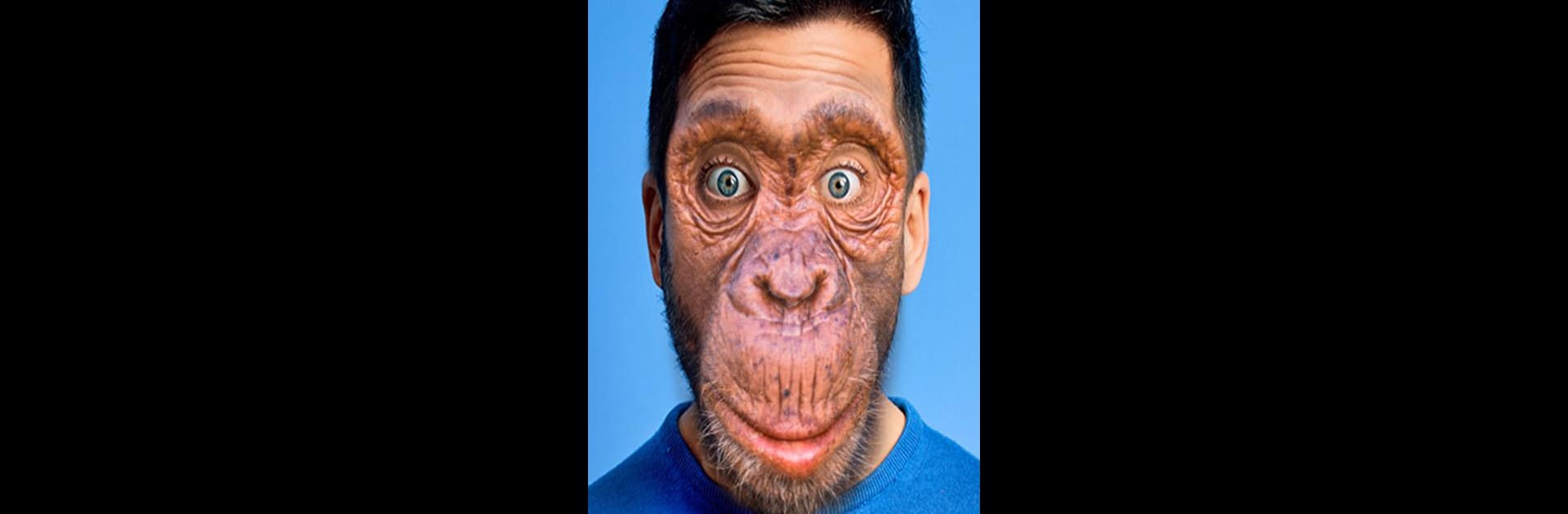 Animal Face Changer