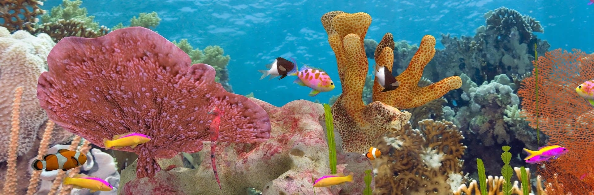Fish Farm 3 - Aquarium