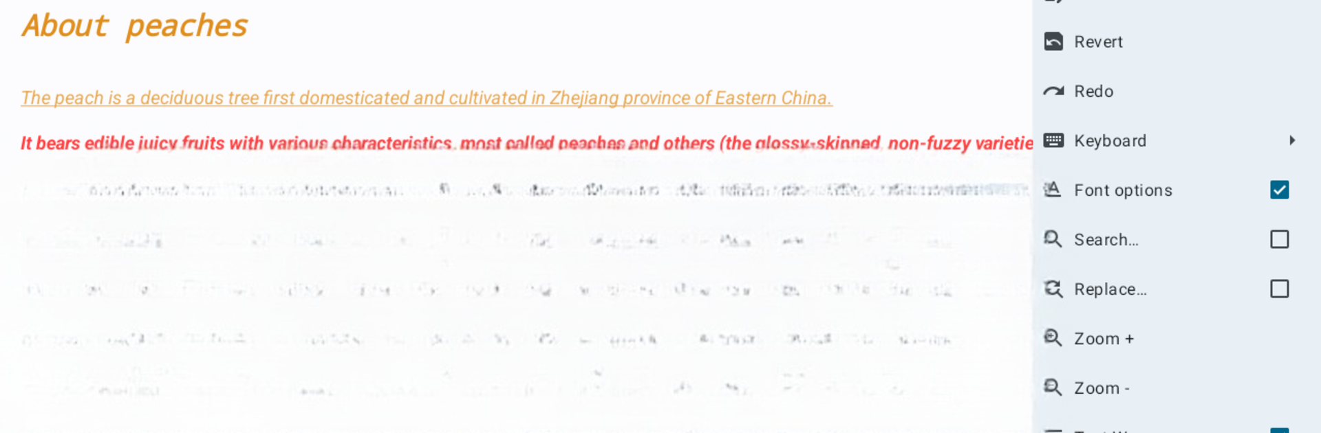 Text Editor