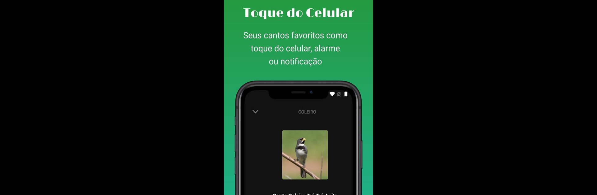 Sonidos de pájaros