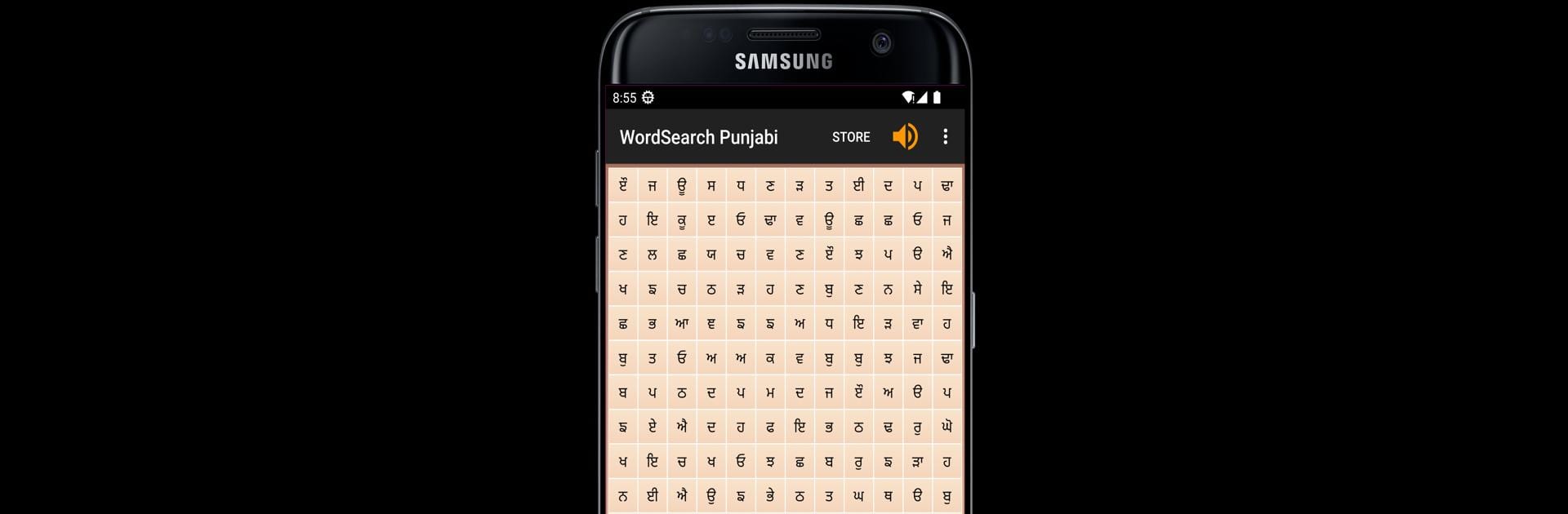 WordSearch - Punjabi