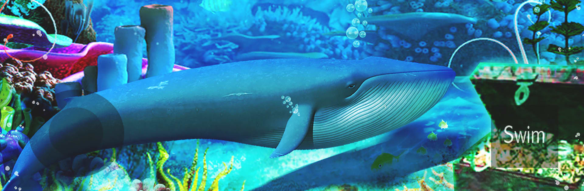 Blue Whale Simulator - Game