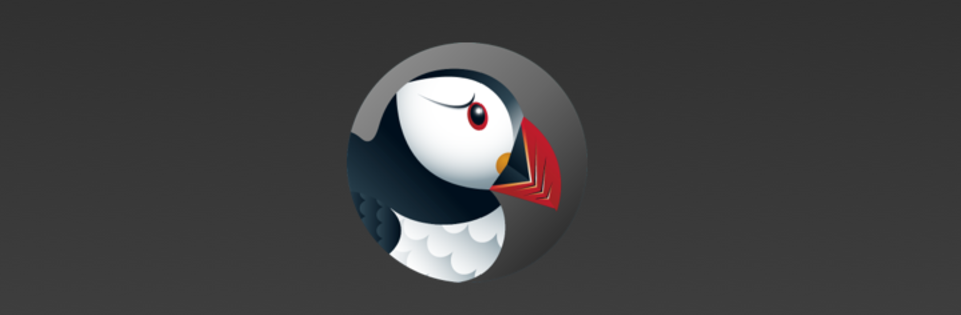 Puffin Incognito Browser