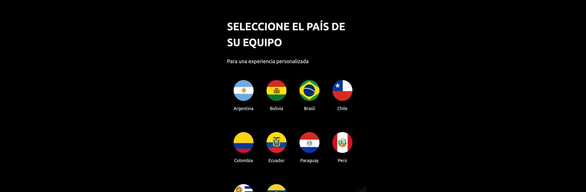 CONMEBOL Libertadores