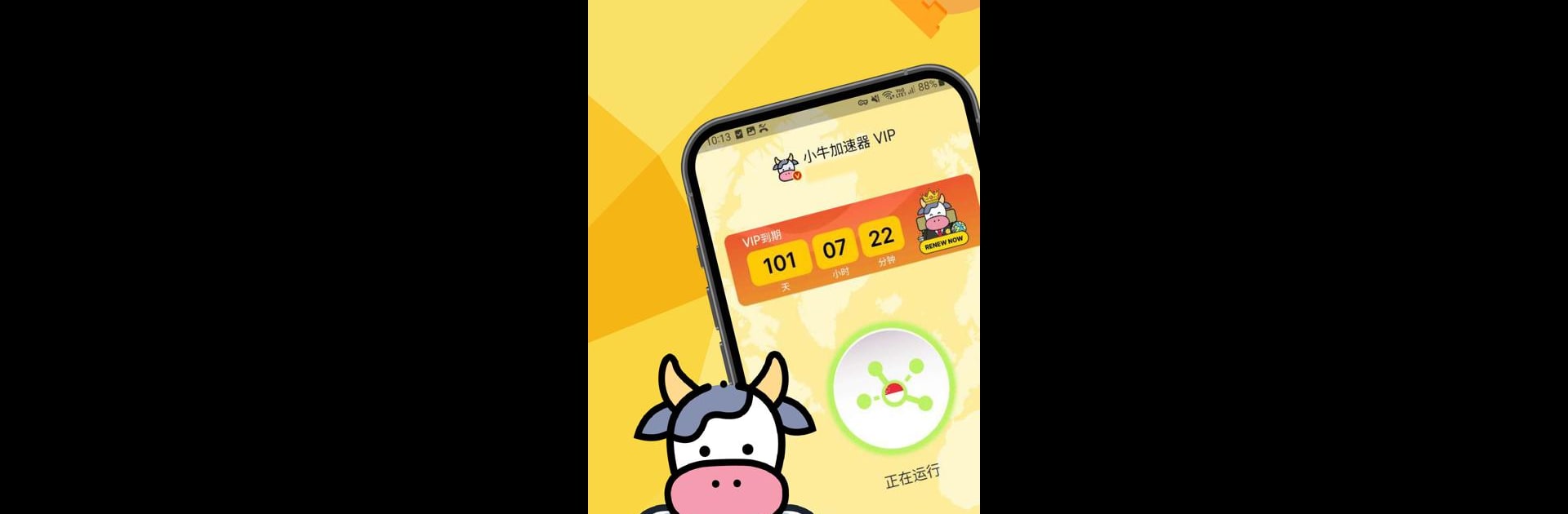 小牛加速器