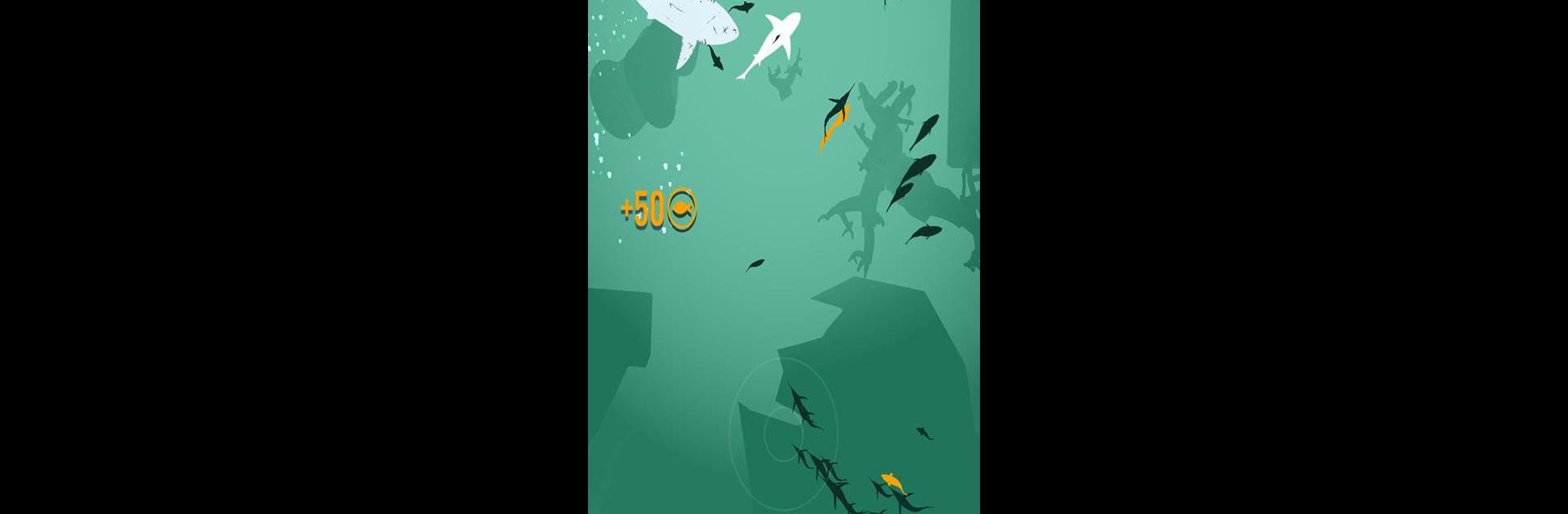 Shoal of fish