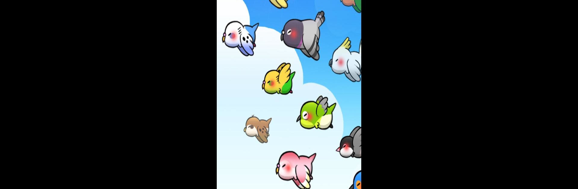 Bird Life