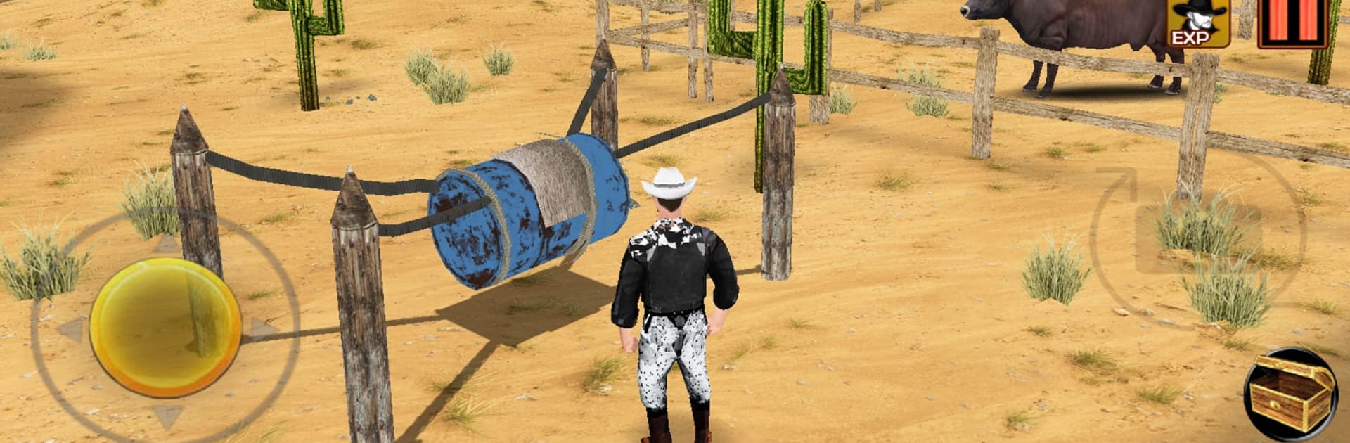 Bull Riding Challenge 4