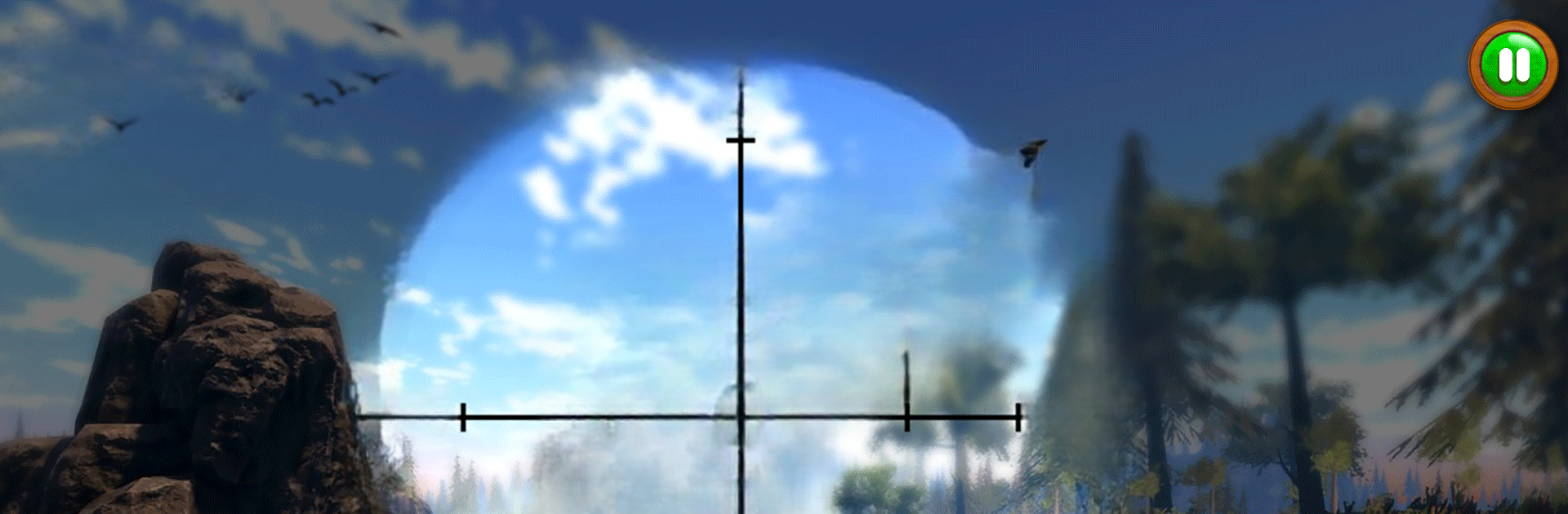 Hunting Games 2021 : Birds Shooting Games